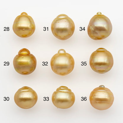 12-13mm South Sea Pearl in Natural Gold Color, Loose Drop Shape, Undrilled for Jewelry Making, SKU # 2770GS