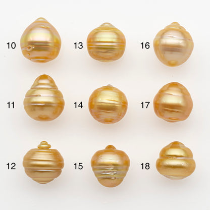 12-13mm South Sea Pearl in Natural Gold Color, Loose Drop Shape, Undrilled for Jewelry Making, SKU # 2774GS