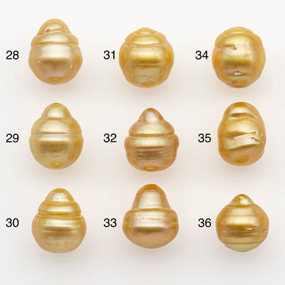 12-13mm South Sea Pearl in Natural Gold Color, Loose Drop Shape, Undrilled for Jewelry Making, SKU # 2774GS