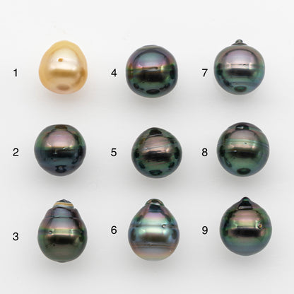 12-13mm Tahitian Pearl, Loose Undrilled with High Luster and for Jewelry Making, SKU # 2787TH
