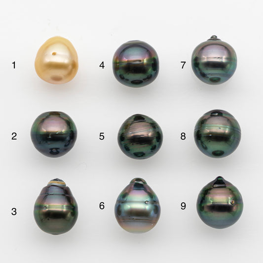 12-13mm Tahitian Pearl, Loose Undrilled with High Luster and for Jewelry Making, SKU # 2787TH