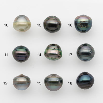 12-13mm Tahitian Pearl, Loose Undrilled with High Luster and for Jewelry Making, SKU # 2787TH
