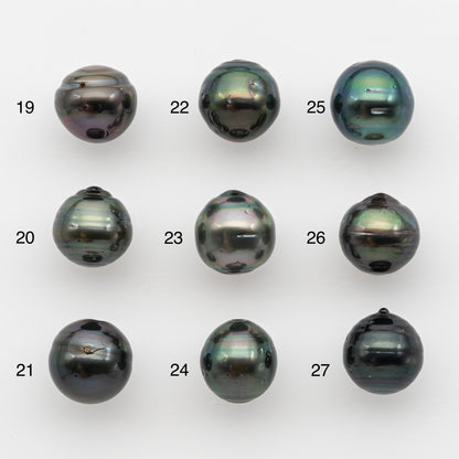 12-13mm Tahitian Pearl, Loose Undrilled with High Luster and for Jewelry Making, SKU # 2787TH