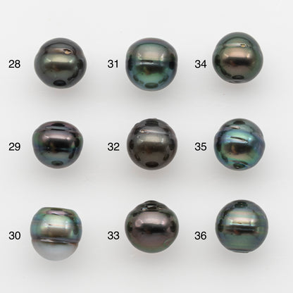 12-13mm Tahitian Pearl, Loose Undrilled with High Luster and for Jewelry Making, SKU # 2787TH