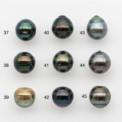 12-13mm Tahitian Pearl, Loose Undrilled with High Luster and for Jewelry Making, SKU # 2787TH