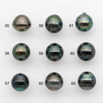 12-13mm Tahitian Pearl, Loose Undrilled with High Luster and for Jewelry Making, SKU # 2787TH