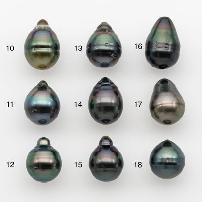 12-13mm Tahitian Pearl, Loose Undrilled with High Luster and for Jewelry Making, SKU # 2788TH