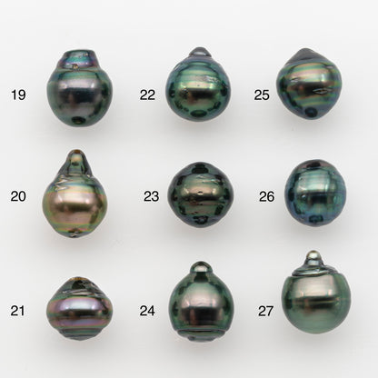 12-13mm Tahitian Pearl, Loose Undrilled with High Luster and for Jewelry Making, SKU # 2788TH