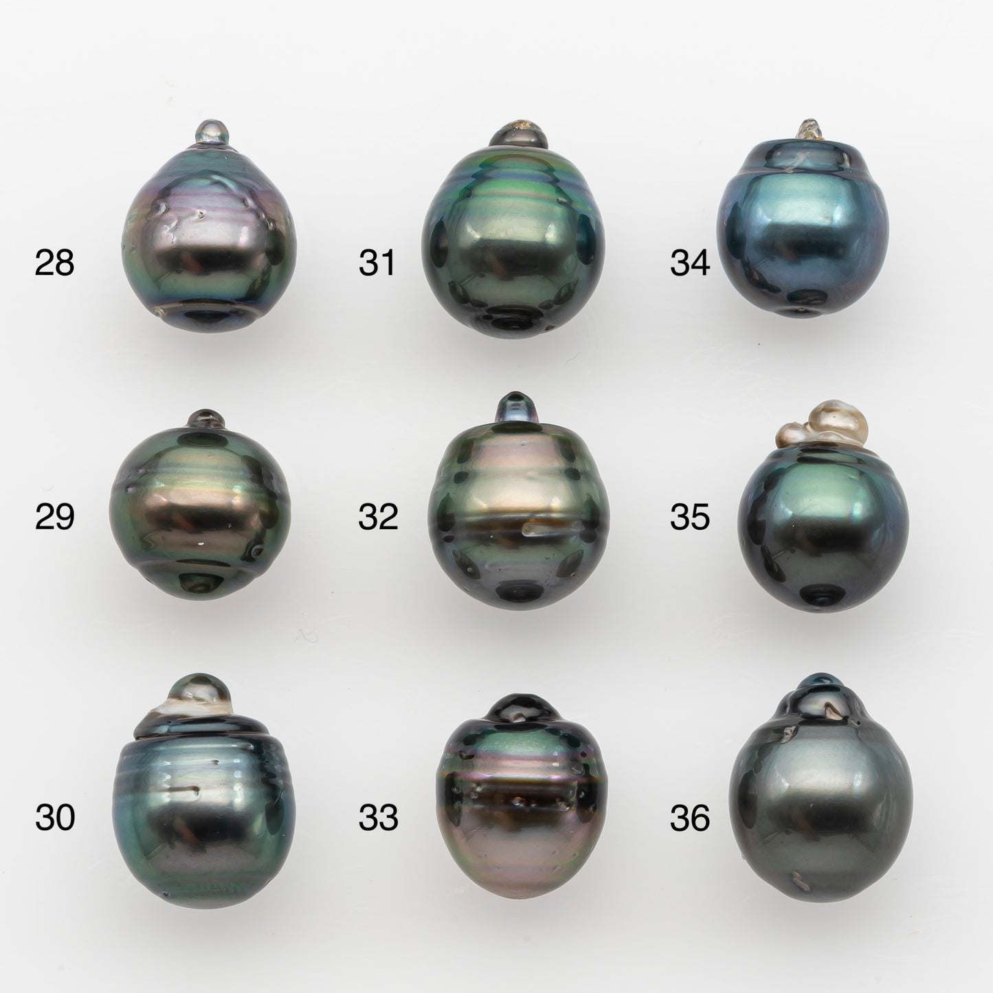 12-13mm Tahitian Pearl, Loose Undrilled with High Luster and for Jewelry Making, SKU # 2788TH