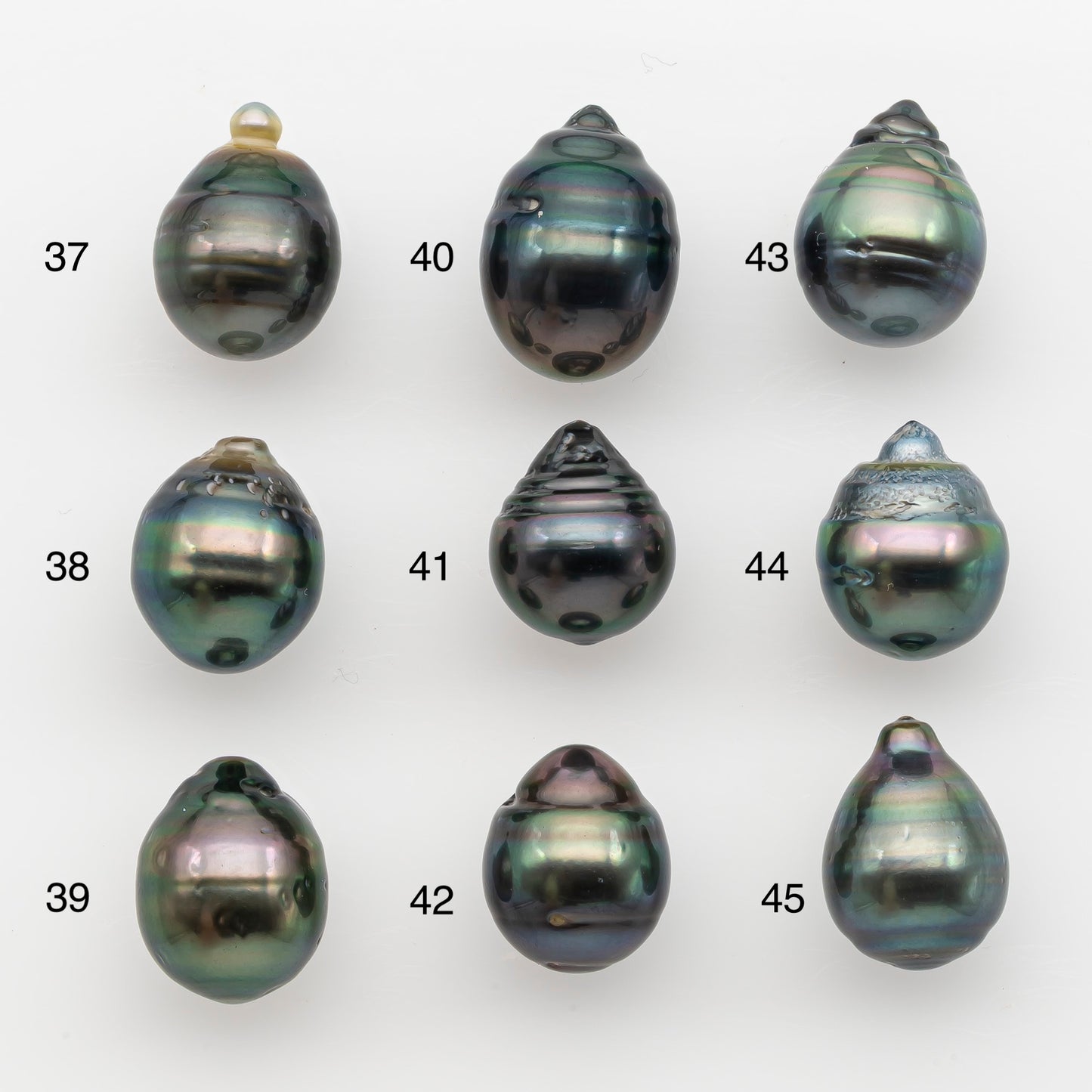 12-13mm Tahitian Pearl, Loose Undrilled with High Luster and for Jewelry Making, SKU # 2788TH