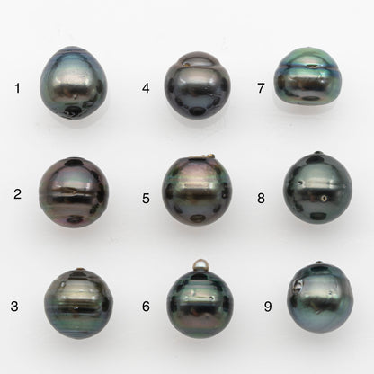 12-13mm Tahitian Pearl, Loose Undrilled with High Luster and for Jewelry Making, SKU # 2789TH