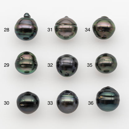 12-13mm Tahitian Pearl, Loose Undrilled with High Luster and for Jewelry Making, SKU # 2789TH