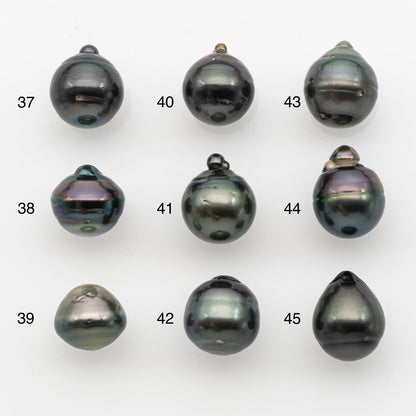 12-13mm Tahitian Pearl, Loose Undrilled with High Luster and for Jewelry Making, SKU # 2789TH