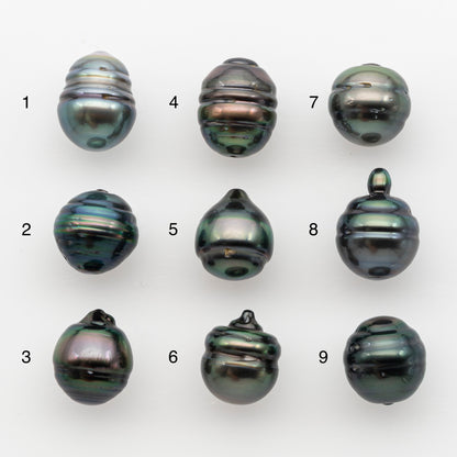 12-13mm Tahitian Pearl, Loose Undrilled with High Luster and for Jewelry Making, SKU # 2790TH
