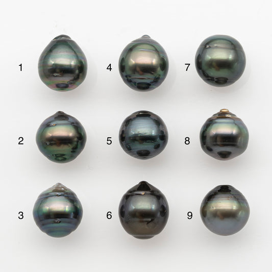 13-14mm Tahitian Pearl, Loose Undrilled with High Luster and for Jewelry Making, SKU # 2791TH