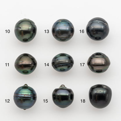 13-14mm Tahitian Pearl, Loose Undrilled with High Luster and for Jewelry Making, SKU # 2791TH