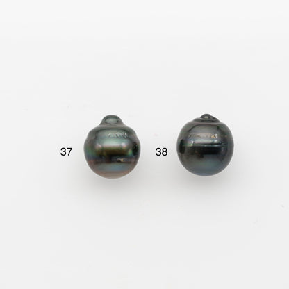 13-14mm Tahitian Pearl, Loose Undrilled with High Luster and for Jewelry Making, SKU # 2791TH