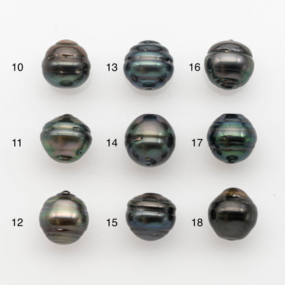 13-14mm Tahitian Pearl, Loose Undrilled with High Luster and for Jewelry Making, SKU # 2792TH