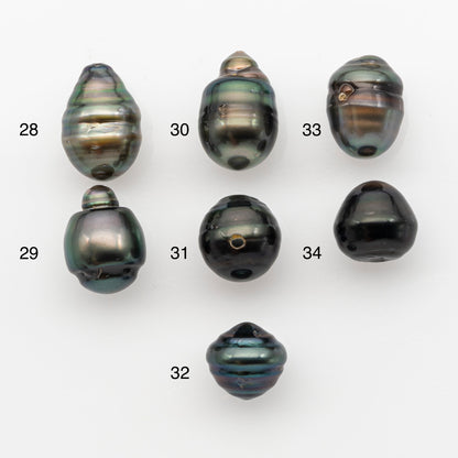 13-14mm Tahitian Pearl, Loose Undrilled with High Luster and for Jewelry Making, SKU # 2792TH