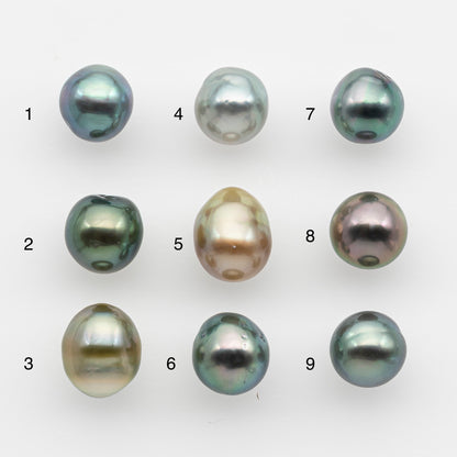 9-10mm Tahitian Pearl, Loose Undrilled with High Luster and for Jewelry Making, SKU # 2793TH