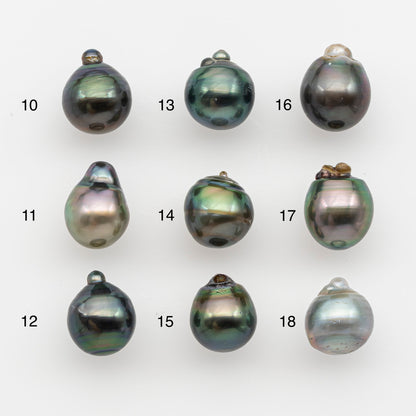 10-11mm Tahitian Pearl, Loose Undrilled with High Luster and for Jewelry Making, SKU # 2796TH