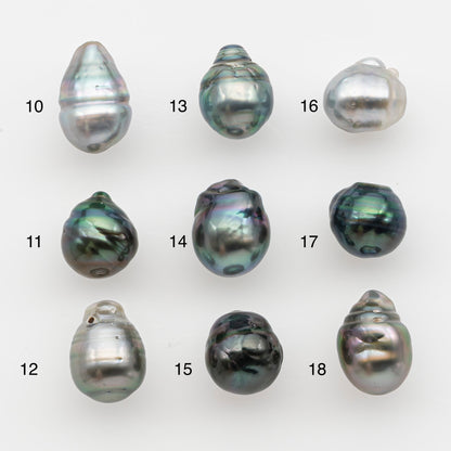 10-11mm Tahitian Pearl, Loose Undrilled with High Luster and for Jewelry Making, SKU # 2797TH