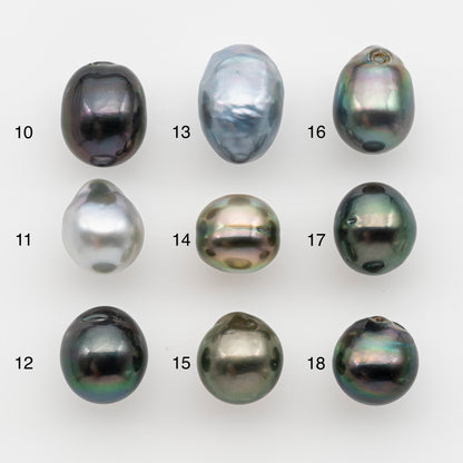 11-12mm Tahitian Pearl, Loose Undrilled with High Luster and for Jewelry Making, SKU # 2798TH