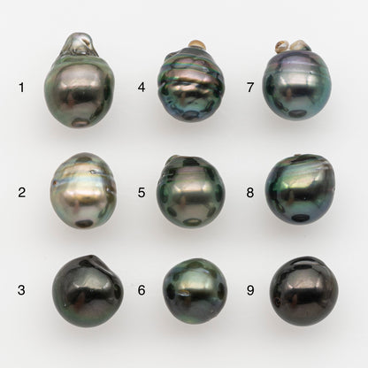 11-12mm Tahitian Pearl, Loose Undrilled with High Luster and for Jewelry Making, SKU # 2799TH