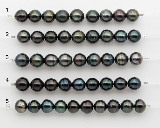 11-12mm Tahitian Pearl Short Strand, Near Round with High Luster and Natural Surface Variations, SKU # 2805TH