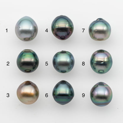 10-11mm Tahitian Pearl, Loose Undrilled with High Luster and for Jewelry Making, SKU # 2824TH