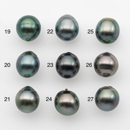 10-11mm Tahitian Pearl, Loose Undrilled with High Luster and for Jewelry Making, SKU # 2824TH