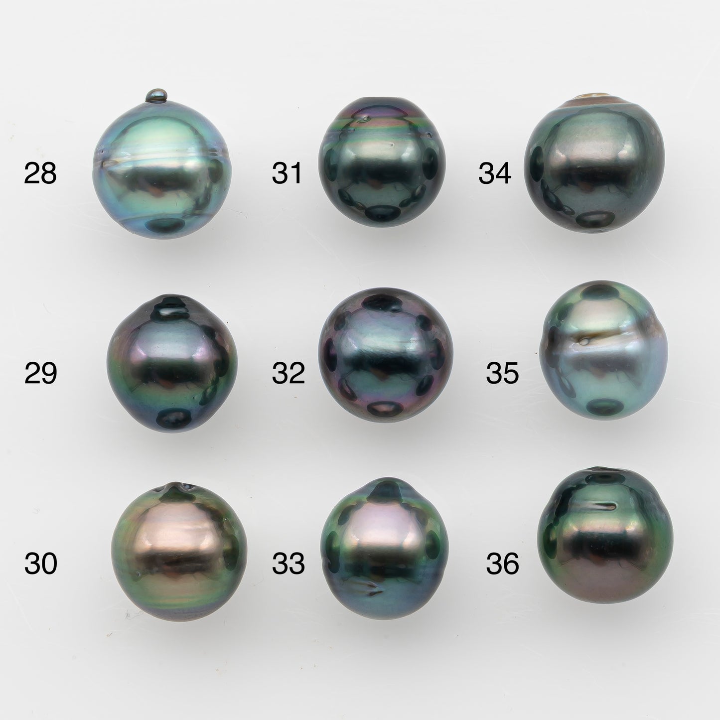 10-11mm Tahitian Pearl, Loose Undrilled with High Luster and for Jewelry Making, SKU # 2824TH