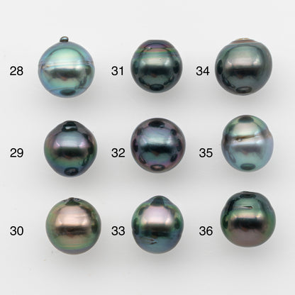10-11mm Tahitian Pearl, Loose Undrilled with High Luster and for Jewelry Making, SKU # 2824TH