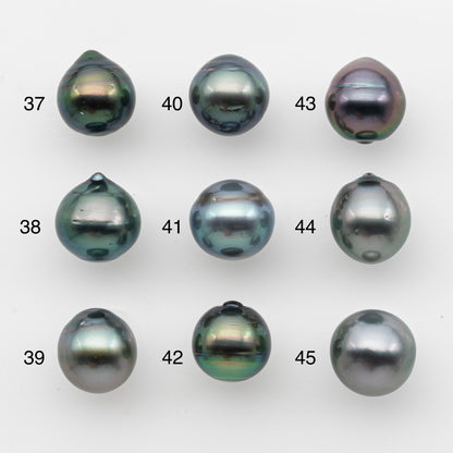 10-11mm Tahitian Pearl, Loose Undrilled with High Luster and for Jewelry Making, SKU # 2824TH