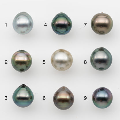 10-11mm Tahitian Pearl, Loose Undrilled with High Luster and for Jewelry Making, SKU # 2825TH