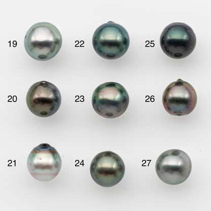 10-11mm Tahitian Pearl, Loose Undrilled with High Luster and for Jewelry Making, SKU # 2825TH