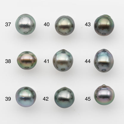 10-11mm Tahitian Pearl, Loose Undrilled with High Luster and for Jewelry Making, SKU # 2825TH