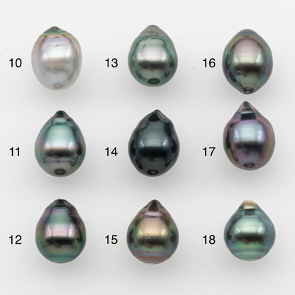 10-11mm Tahitian Pearl, Loose Undrilled with High Luster and for Jewelry Making, SKU # 2826TH
