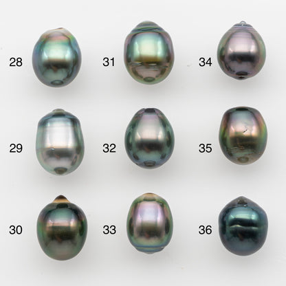10-11mm Tahitian Pearl, Loose Undrilled with High Luster and for Jewelry Making, SKU # 2826TH