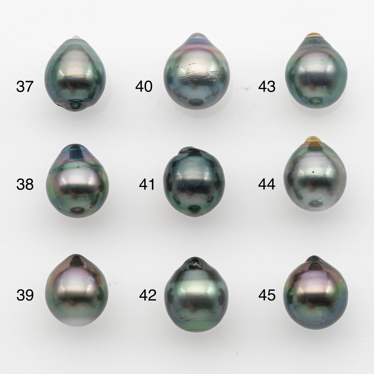 10-11mm Tahitian Pearl, Loose Undrilled with High Luster and for Jewelry Making, SKU # 2826TH