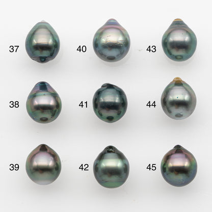 10-11mm Tahitian Pearl, Loose Undrilled with High Luster and for Jewelry Making, SKU # 2826TH