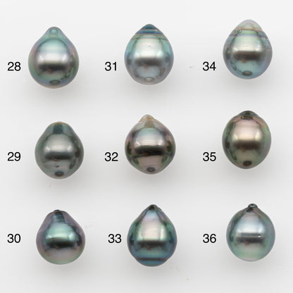 10-11mm Tahitian Pearl, Loose Undrilled with High Luster and for Jewelry Making, SKU # 2827TH