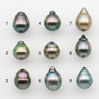 10-11mm Tahitian Pearl, Loose Undrilled with High Luster and for Jewelry Making, SKU # 2828TH