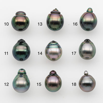 10-11mm Tahitian Pearl, Loose Undrilled with High Luster and for Jewelry Making, SKU # 2828TH