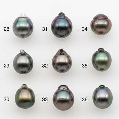 10-11mm Tahitian Pearl, Loose Undrilled with High Luster and for Jewelry Making, SKU # 2828TH