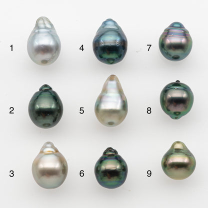 10-11mm Tahitian Pearl, Loose Undrilled with High Luster and for Jewelry Making, SKU # 2829TH