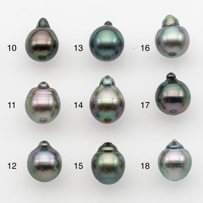 10-11mm Tahitian Pearl, Loose Undrilled with High Luster and for Jewelry Making, SKU # 2829TH