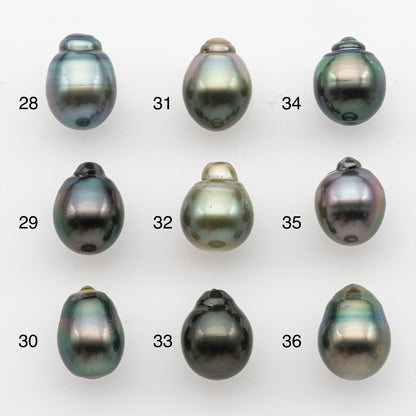 10-11mm Tahitian Pearl, Loose Undrilled with High Luster and for Jewelry Making, SKU # 2829TH