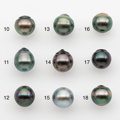 10-11mm Tahitian Pearl, Loose Undrilled with High Luster and for Jewelry Making, SKU # 2830TH