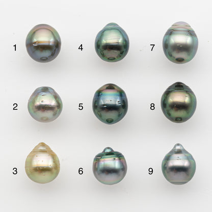 10-11mm Tahitian Pearl, Loose Undrilled with High Luster and for Jewelry Making, SKU # 2830TH